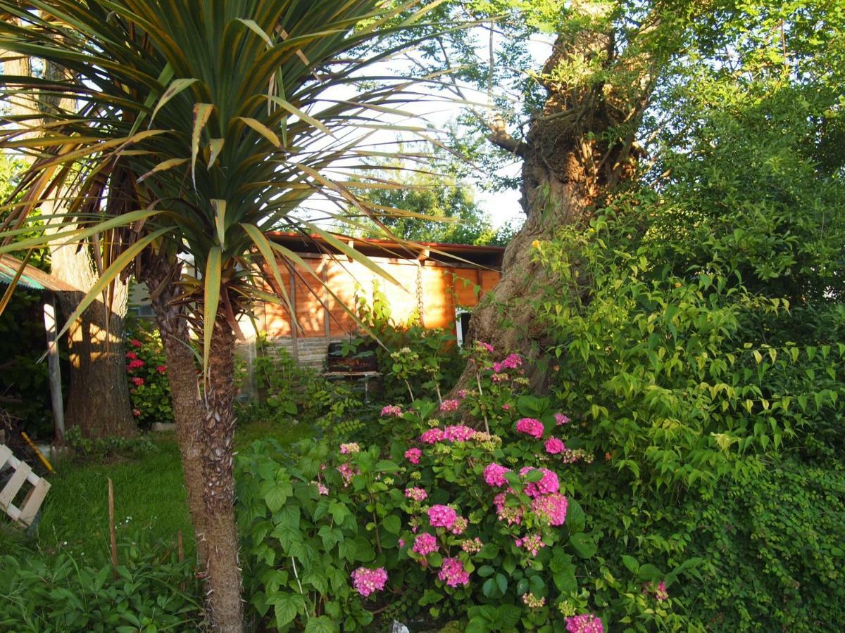 Chambres D'Hotes Les 4 Chemins Trouville-sur-Mer Exterior foto